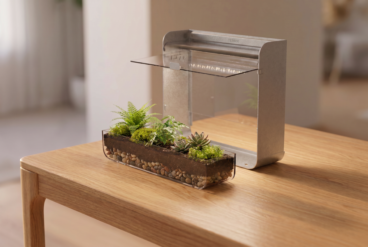Terrix removable planting tray