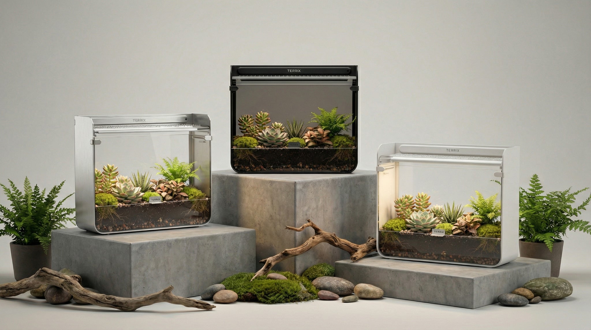 Terrix open terrarium system in multiple planted builds